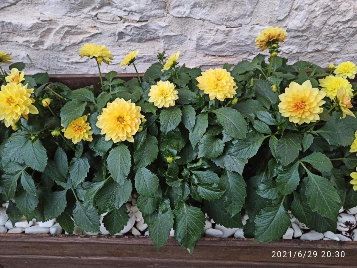 Karabuk  Konak Bindalli B&B 외부 사진